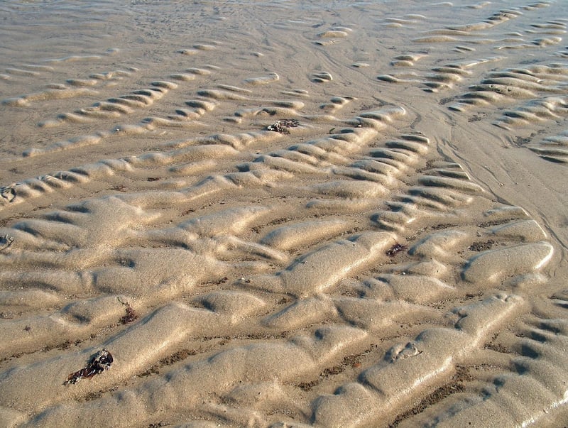 Webinar Image